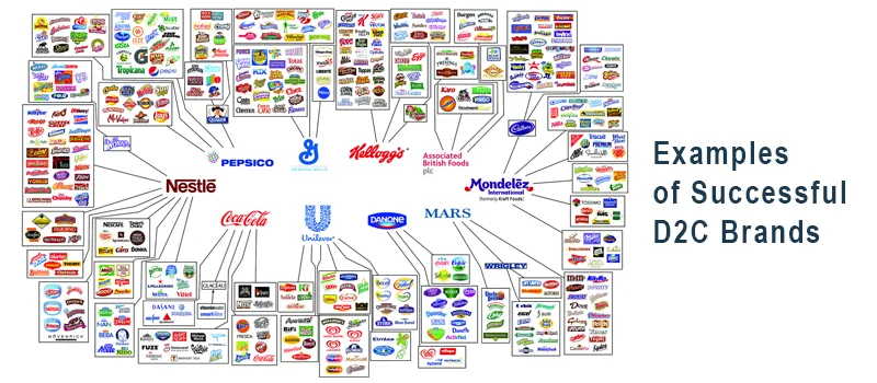 Examples of Successful D2C Brands